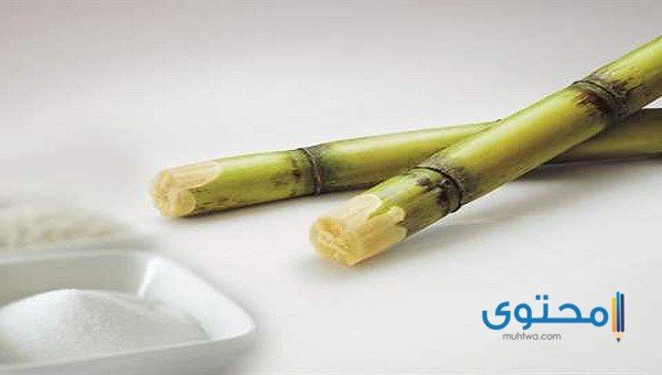 1740952743 القصب في المنام