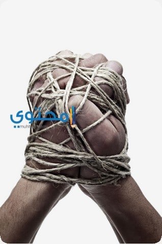 تفسير رؤية الحبل في المنام تدل علي عقد عمل 2 تفسير رؤية الحبل في المنام تدل علي عقد عمل