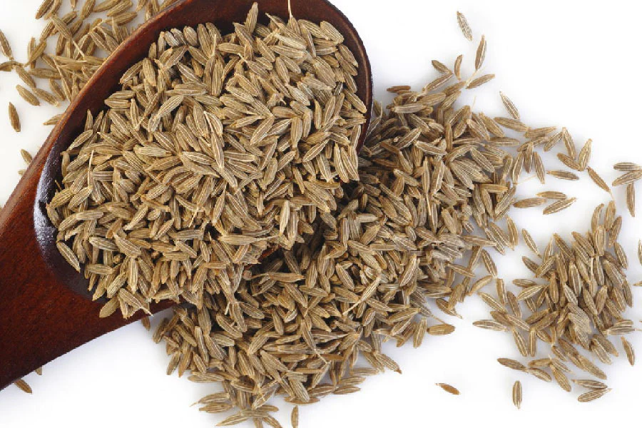 Cumin 01.webp