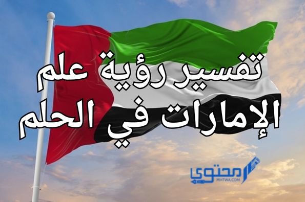 مشرفة موقع محتوى