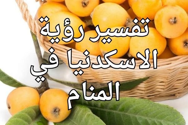 مشرفة موقع محتوى