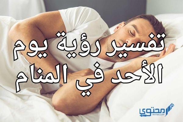 مشرفة موقع محتوى