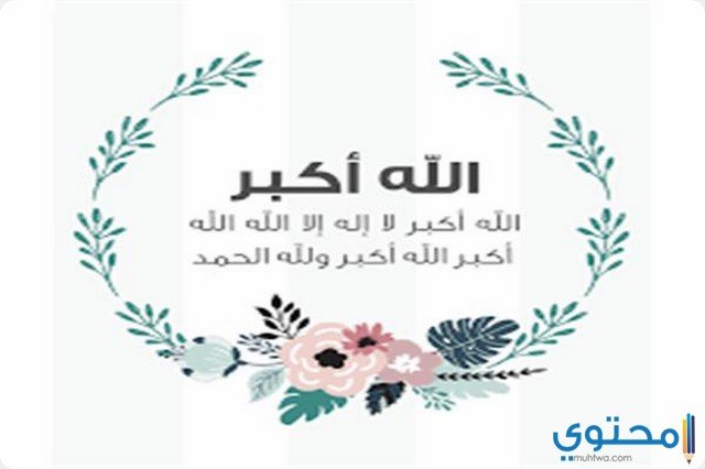 أ / هدير سعيد