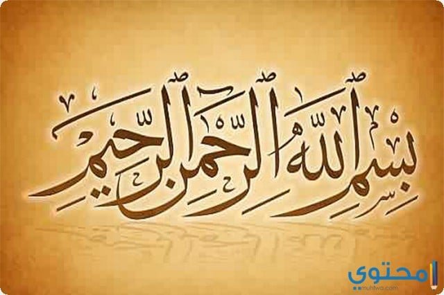 أ / هدير سعيد