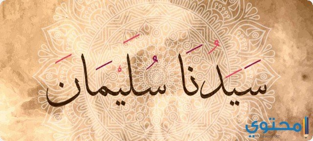 تفسير عن رؤية سيدنا سليمان في المنام للعزباء 2 تفسير عن رؤية سيدنا سليمان في المنام للعزباء