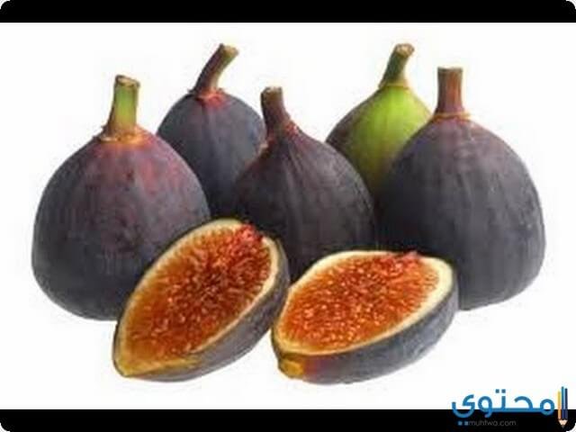 تفسير رؤية حلم الجميز في المنام لابن سيرين 2 تفسير رؤية حلم الجميز في المنام لابن سيرين