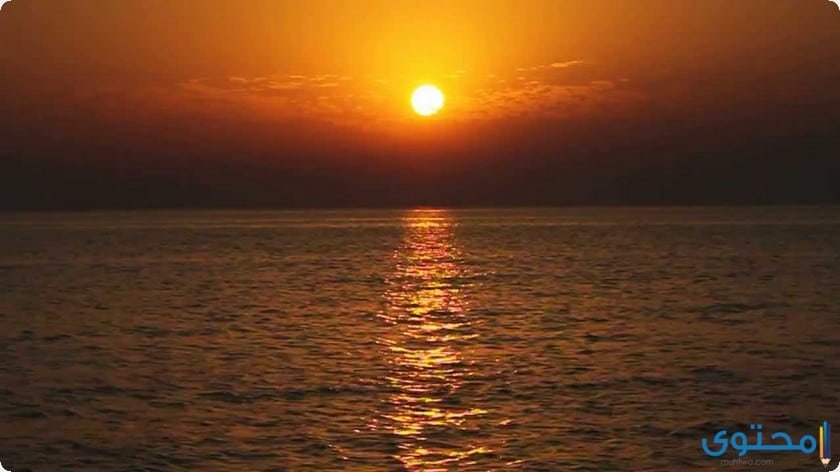 Image 06 17