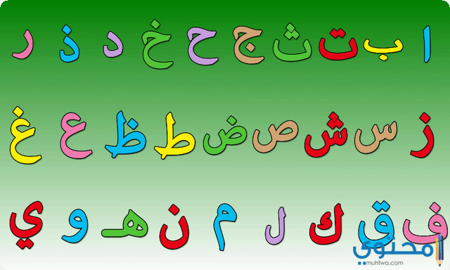 أ / هدير سعيد