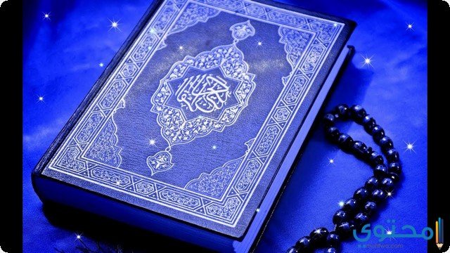 أهم 7 تفسيرات عن أحلام القرآن والسنة في المنام للرجل 2 أهم 7 تفسيرات عن أحلام القرآن والسنة في المنام للرجل