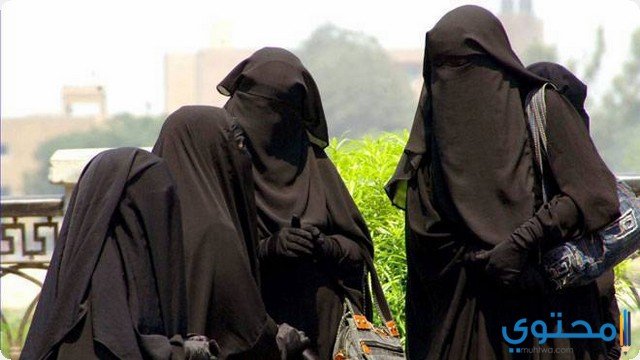 تفسير رؤية امرأة منقبة في المنام لابن سيرين 2 تفسير رؤية امرأة منقبة في المنام لابن سيرين