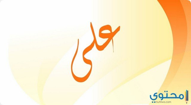 أ / هدير سعيد