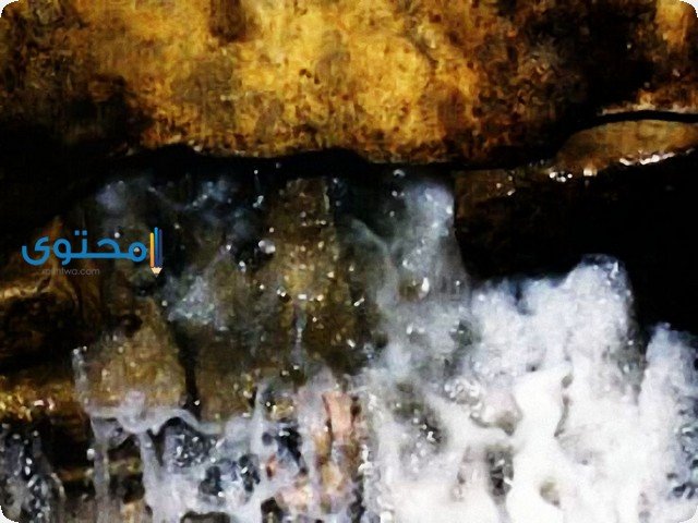 تفسير رؤية شرب ماء زمزم في الحلم