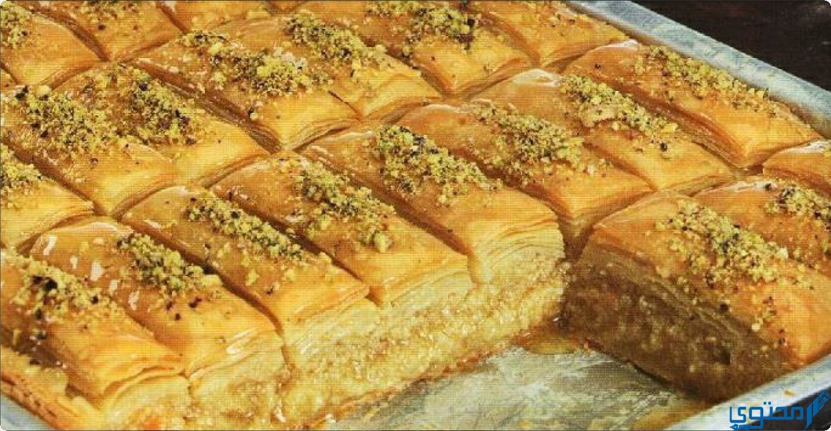 تفسير رؤية الجلاش في المنام (8 تفسيرات) 2 تفسير رؤية الجلاش في المنام (8 تفسيرات)