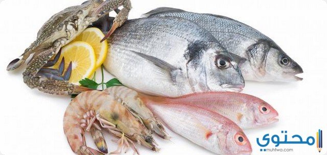 تفسير رؤية بيع الأسماك في الحلم 2 تفسير رؤية بيع الأسماك في الحلم