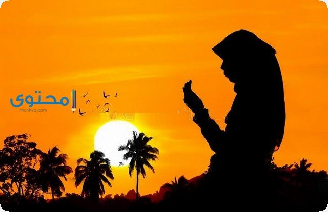 أ / علي القديمي